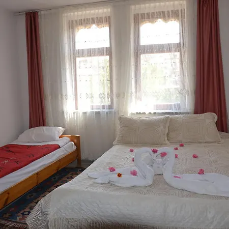 Hotel Atak *